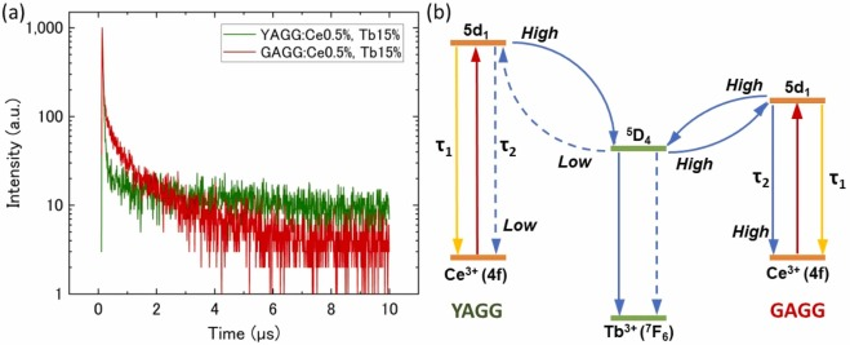 Tailoring scintillation and luminescence through Co-doping engineering: A comparative study of Ce,Tb Co-doped YAGG and GAGG garnet crystals